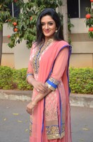 Vimala Raman at Om Namo Venkatesaya Press Meet
